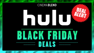 hulu black friday deal