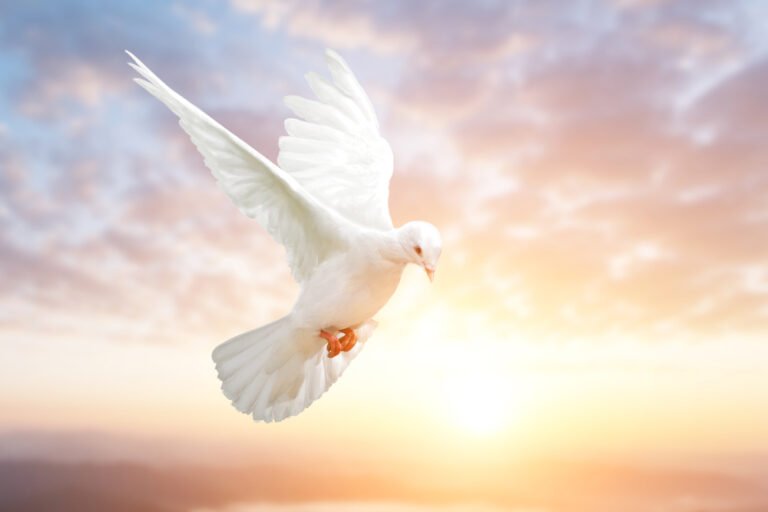 Understanding the Holy Ghost: Meaning, Role, and Importance Understanding the Holy Ghost: Meaning, Role, and Importance